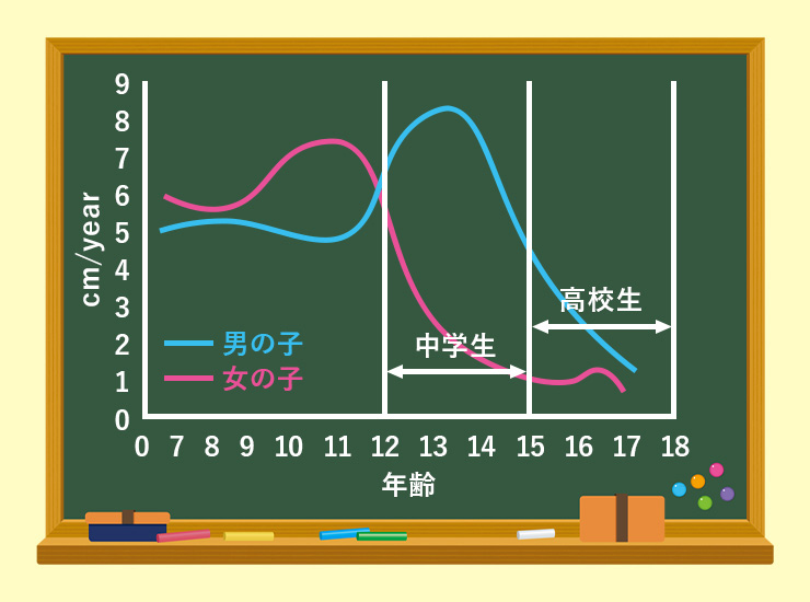 成長期のグラフ